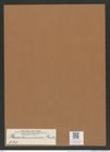 Pleurodesmium sp. (de-Toni-Nr.: Genus 131) Zeichnungen Sammlung Grunow Mappe 03749 (Herbarium_W_Grunow_drawings_Folder_03749)
